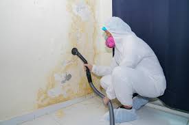 Best Basement Mold Removal in Farmersville, CA